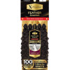 Outre X-Pression 100% Remy Human Hair Feather Crochet Braid - BURMESE 14"